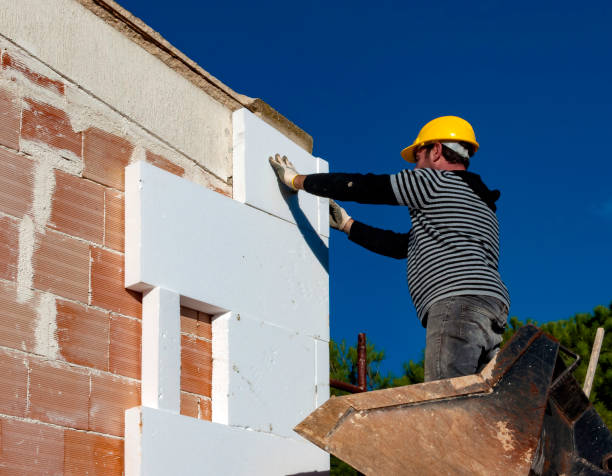 Best Cellulose Insulation in Oakwood, GA