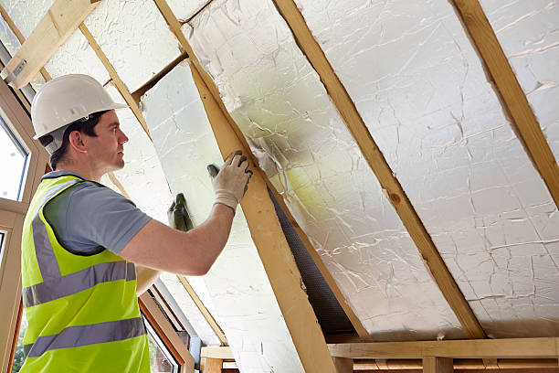Best DIY Insulation Kits and Guidance in Oakwood, GA