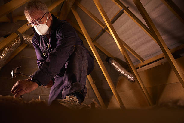 Trusted Oakwood, GA Insulation Contractor Experts