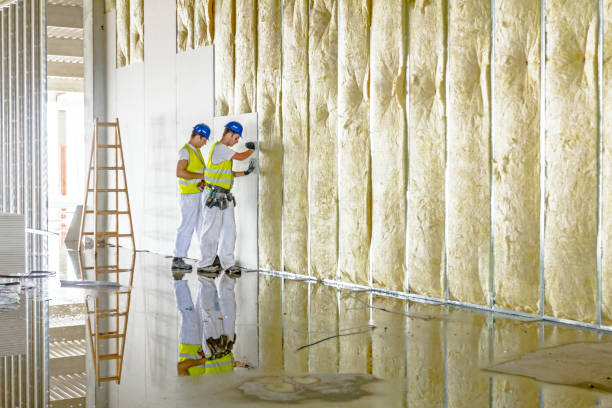 Best Spray Foam Insulation in Oakwood, GA